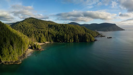 Striking aerial panoramic view of the Pacific Ocean Coast during a vibrant summer sunset. Taken in San Josef Bay, Cape Scott, Northern Vancouver Island, BC, Canada.