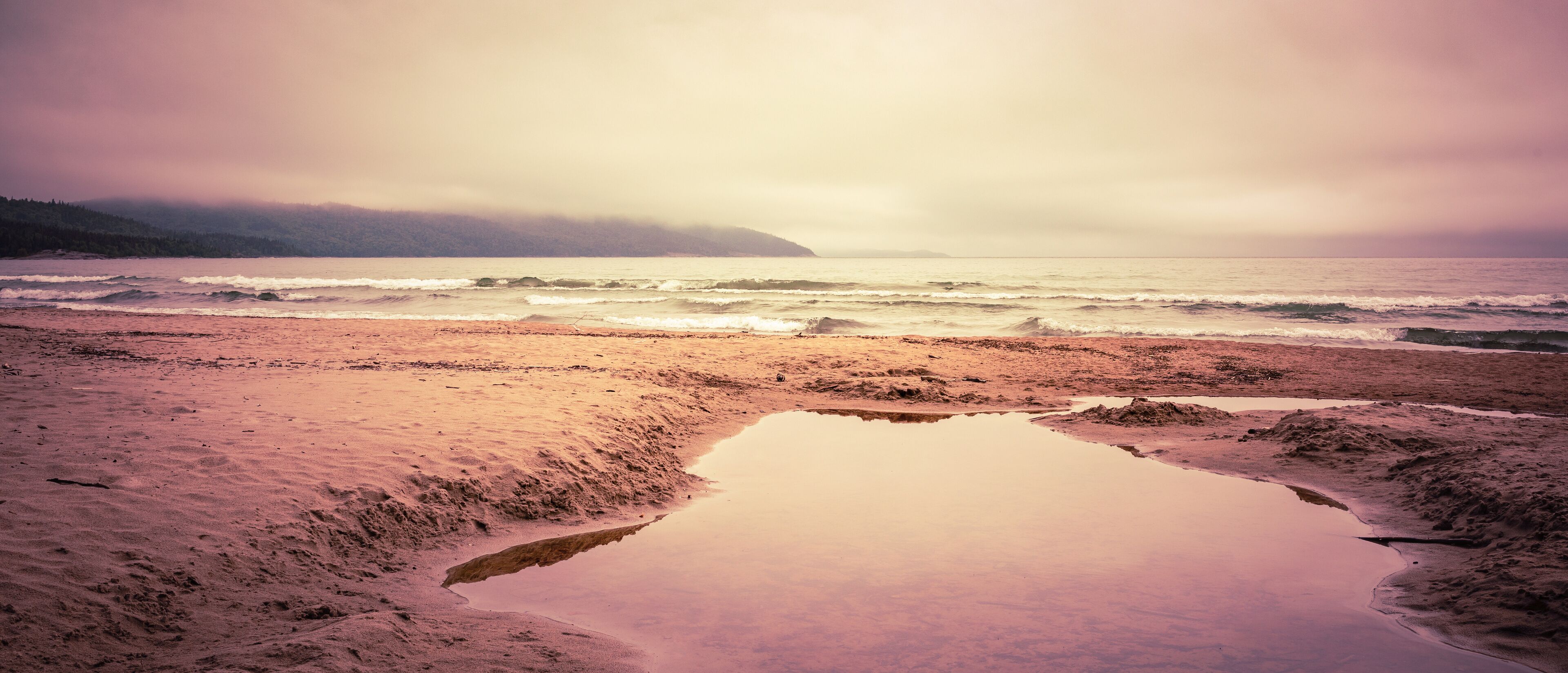 نورث أويستر