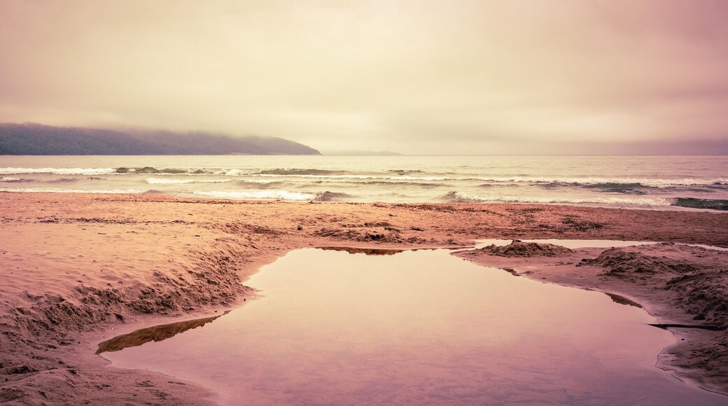 نورث أويستر