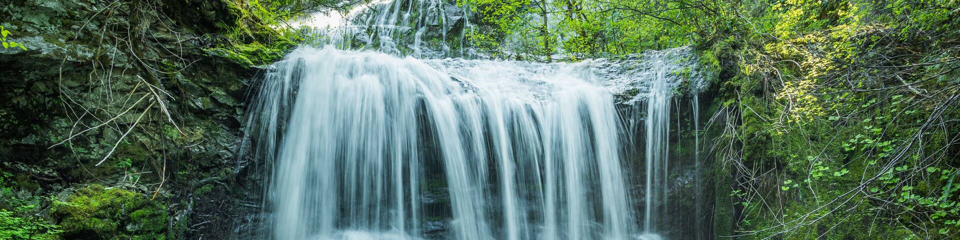 A waterfall cascading over moss-covered rocks surrounded by dense green foliage.