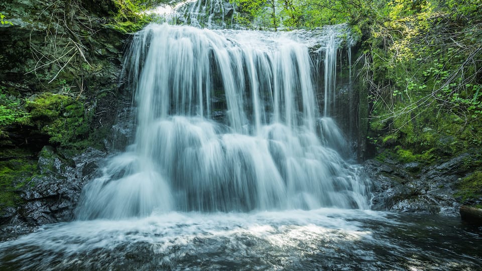 A waterfall cascading over moss-covered rocks surrounded by dense green foliage.