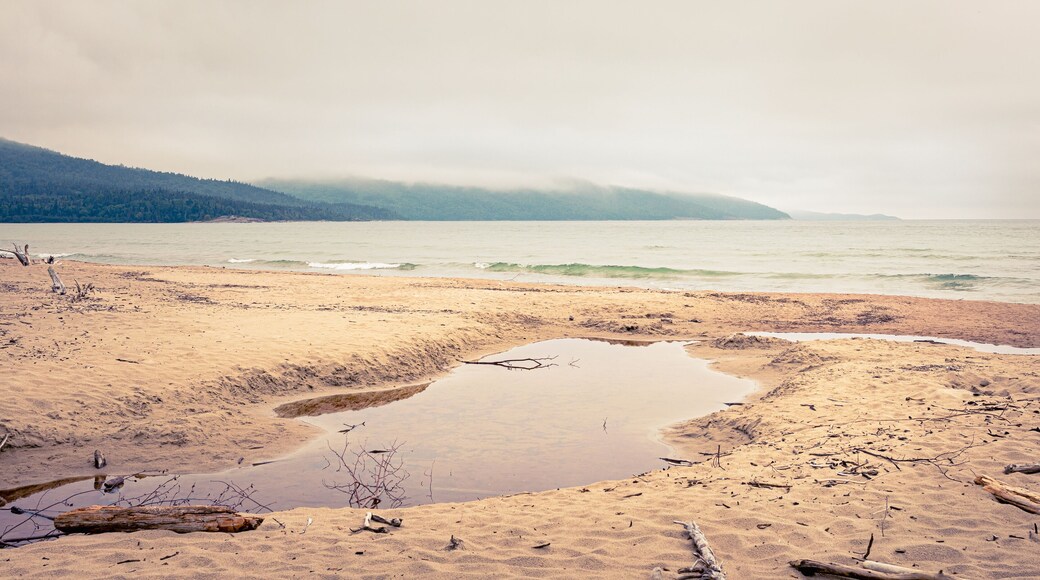 نورث أويستر