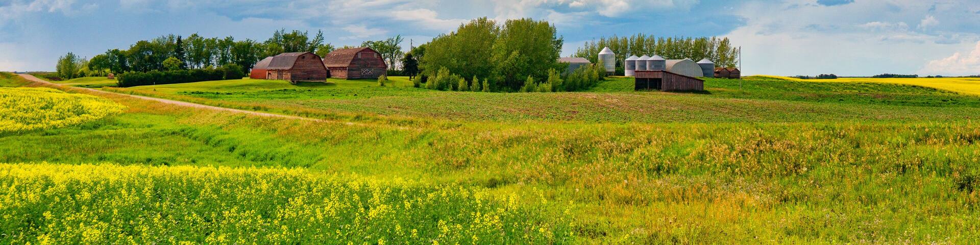 Saskatchewan farm