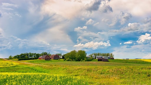 Saskatchewan farm