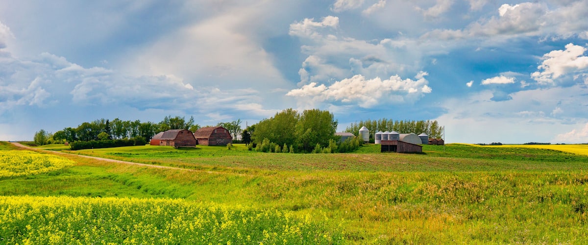 A rural landscape with green fields, a dirt path, and red barns under a partly cloudy sky.