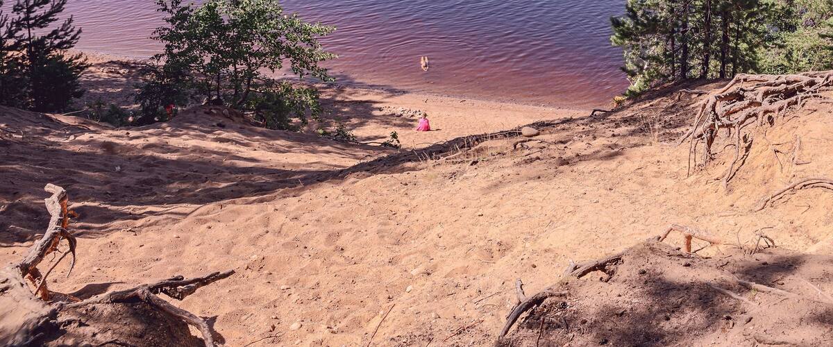 A lake surrounded by trees and a sandy beach.