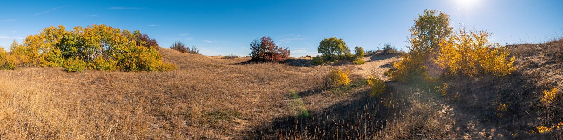 Douglas Provincial Park Sand Dune in Autumn