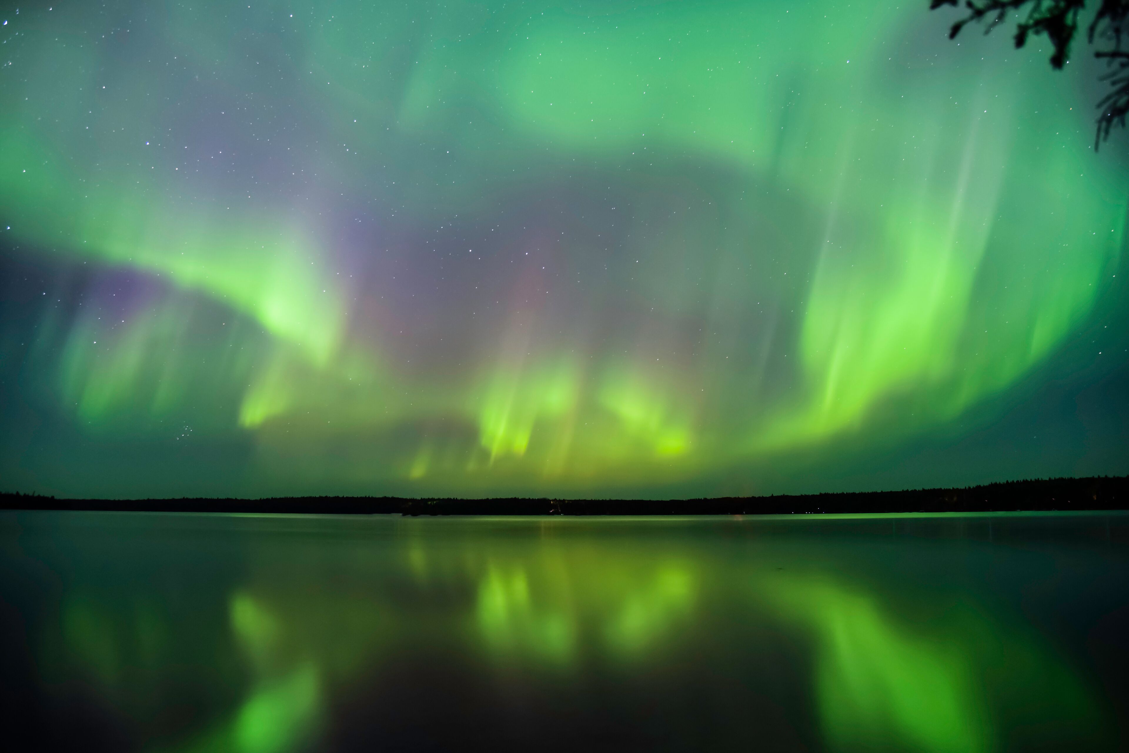 克蘭伯里波蒂奇