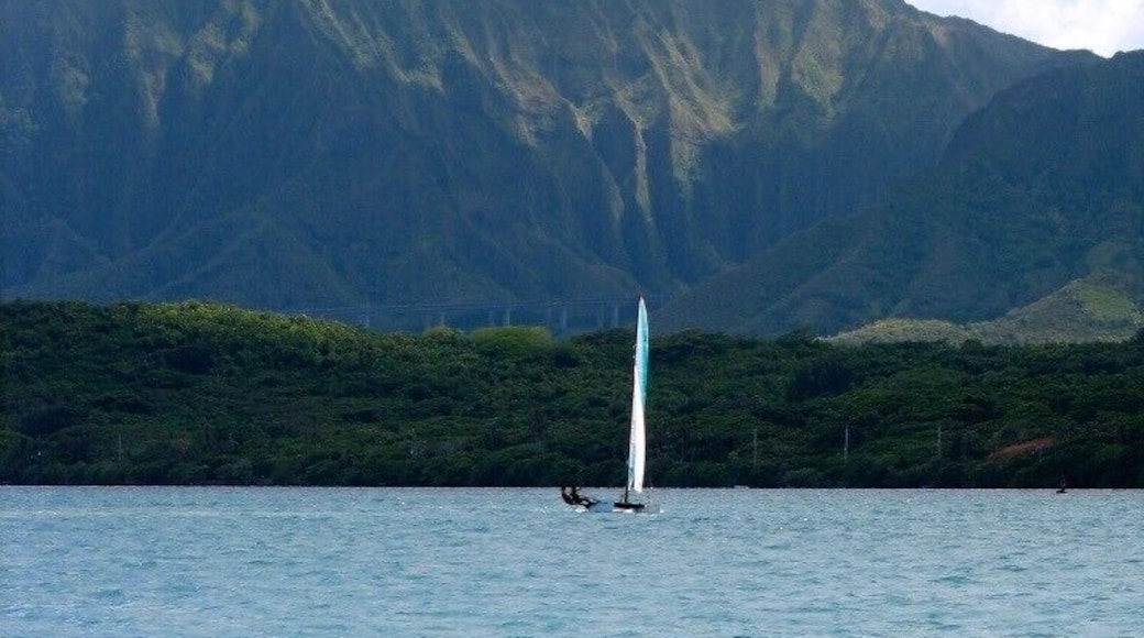 Kane'ohe Sand Bar seems to be an enigma; a widely talked about place, yet somehow a bit shrouded in mystery. I took this photo of two guys sailing on their Hobe Cat against a stunning backdrop of the Ko'olau Mountains.
TIP: check the tides and visit the sandbar on a day where you can actually walk around on it.
#beaches
#kaneohe
#hawaii
#sailing
#mountains
#lifeatexpedia
#blue