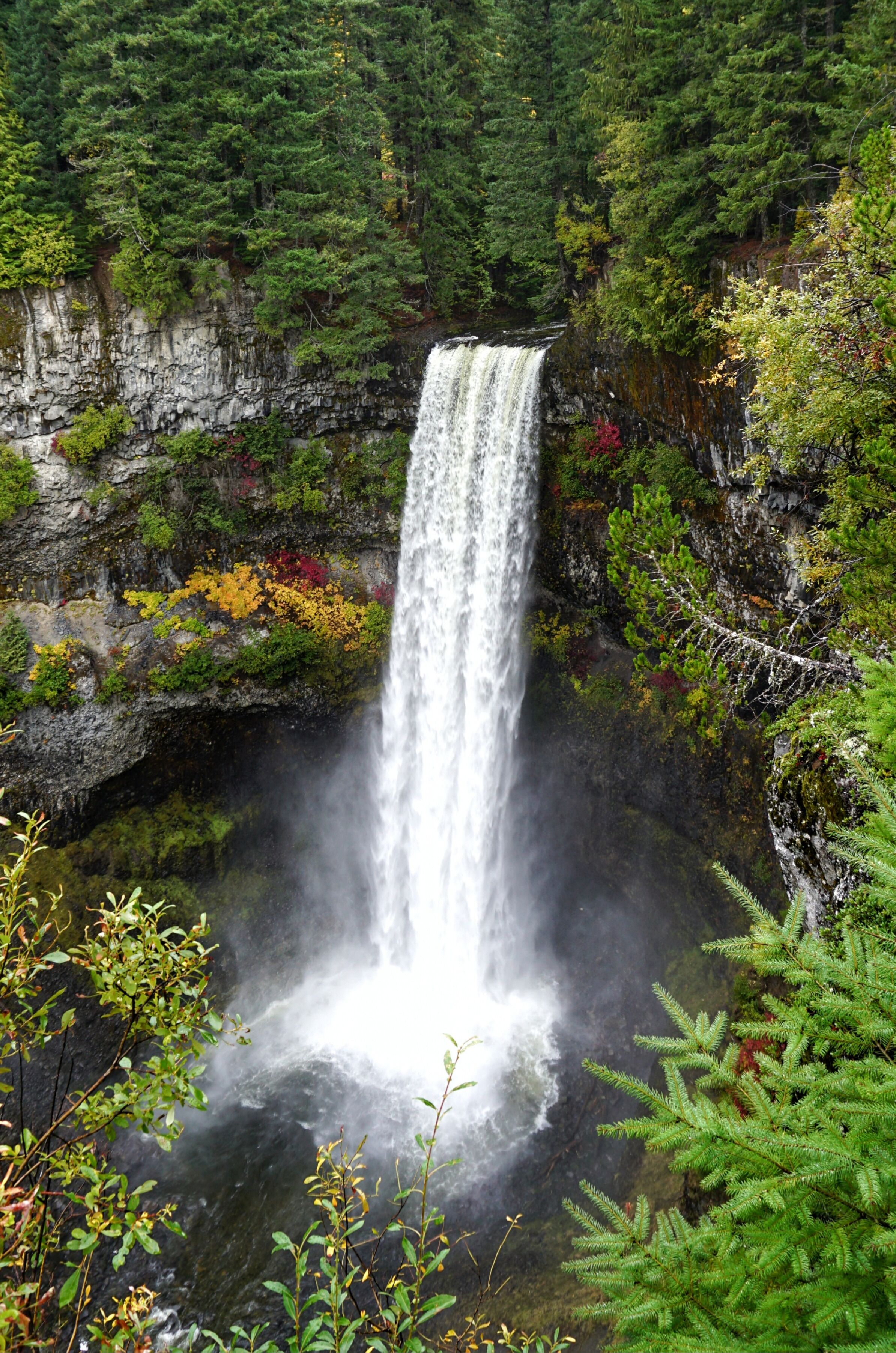 Along the sea to sky highway located between Whistler and Squamish is the iconic 70m waterfall, Brandywine Falls

#nature