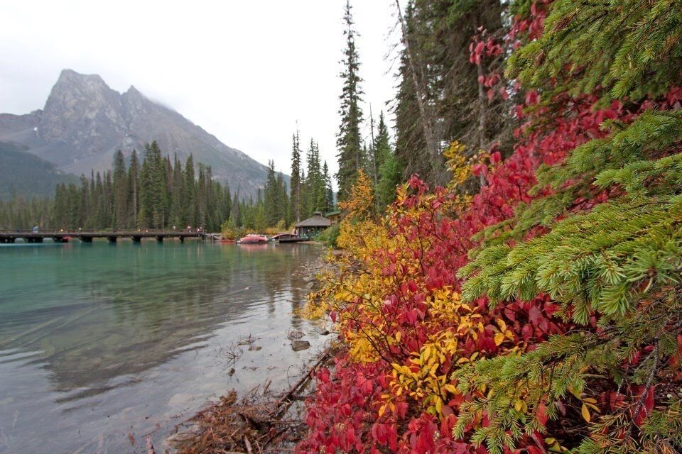 Emerald Lake, Yoho National Park