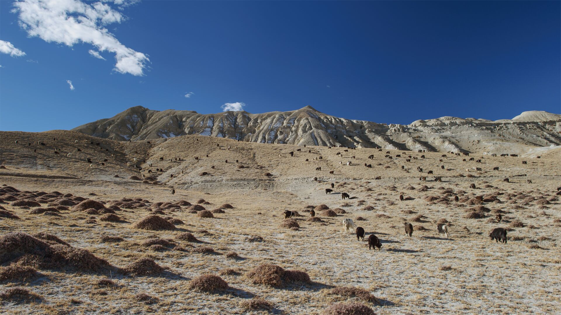 Trekking in the Upper Mustang