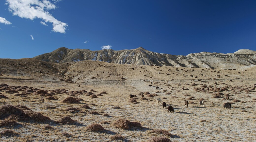 Trekking in the Upper Mustang