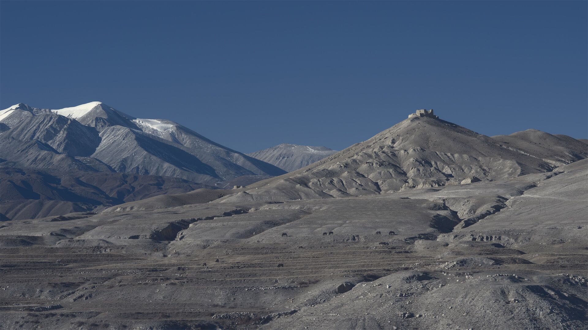 Trekking in the Upper Mustang