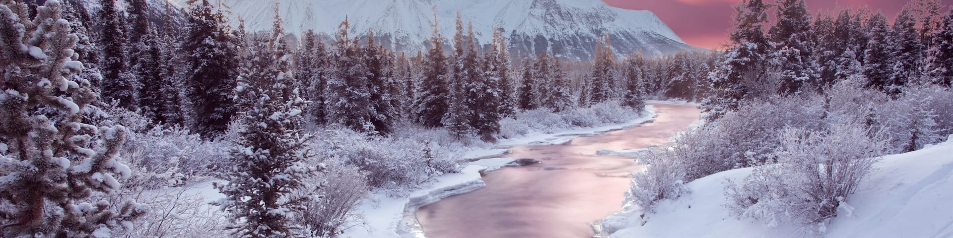 Stunningly typical Canadian landscape in the early winter. Breathtaking pink sunset background in winter, cold.