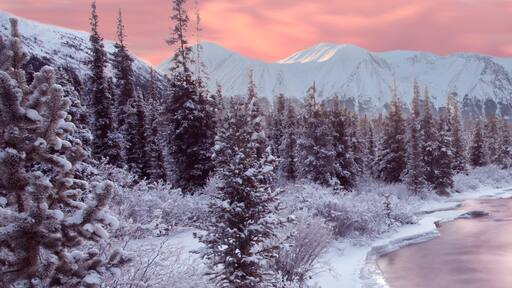 พิงก์ เมาน์เทน