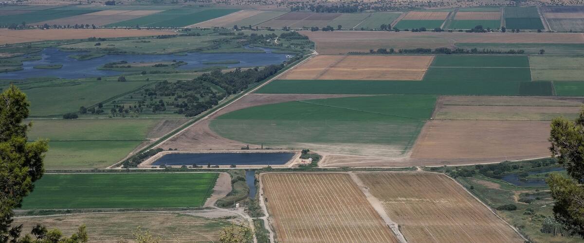 A vast agricultural landscape with terraced fields, a small body of water, and rolling hills in the background.