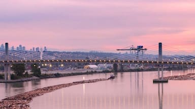 Early morning light makes everything glow on the Fraser River. This is only a short walk from my home, in Vancouver BC