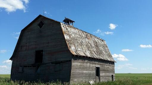 Casual afternoon drive