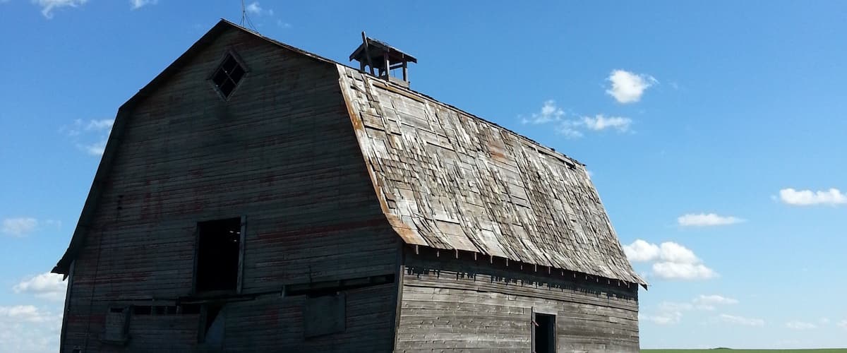 A dilapidated barn in a grassy field with a clear blue sky.