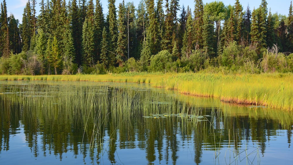 Sheridan Lake, British Columbia, Kanada