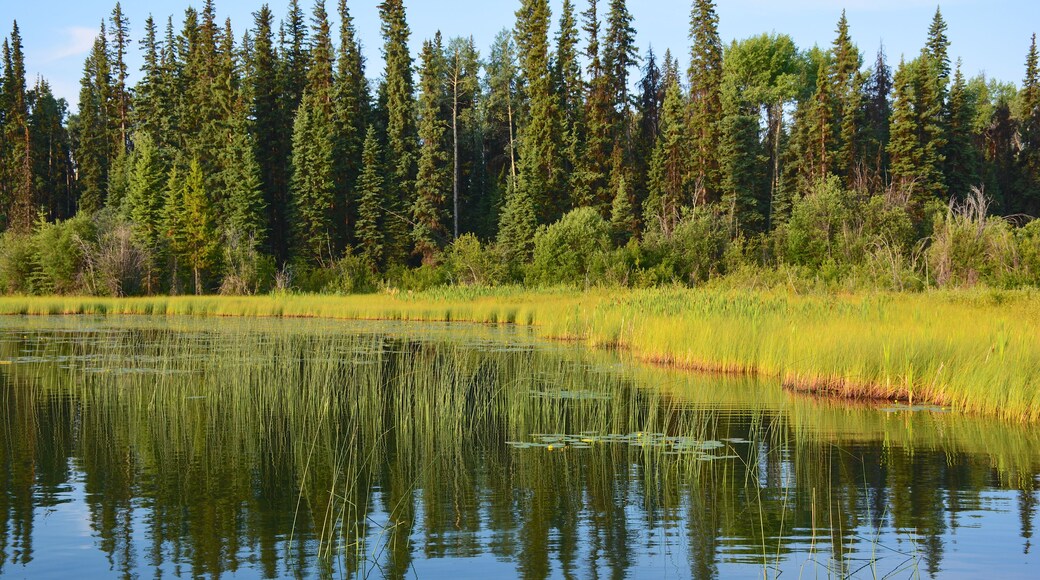 Sheridan Lake, British Columbia, Kanada