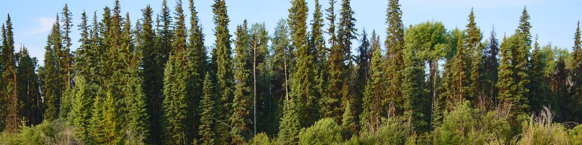 Sheridan Lake, British Columbia, Kanada