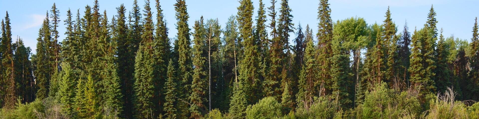 Sheridan Lake, British Columbia, Kanada