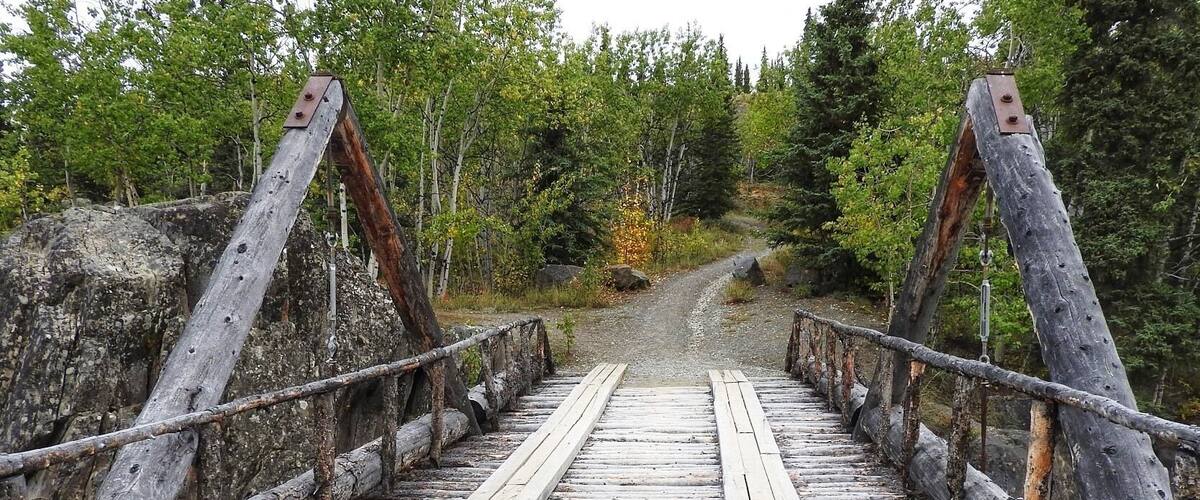 A wooden bridge with metal supports in a forest.