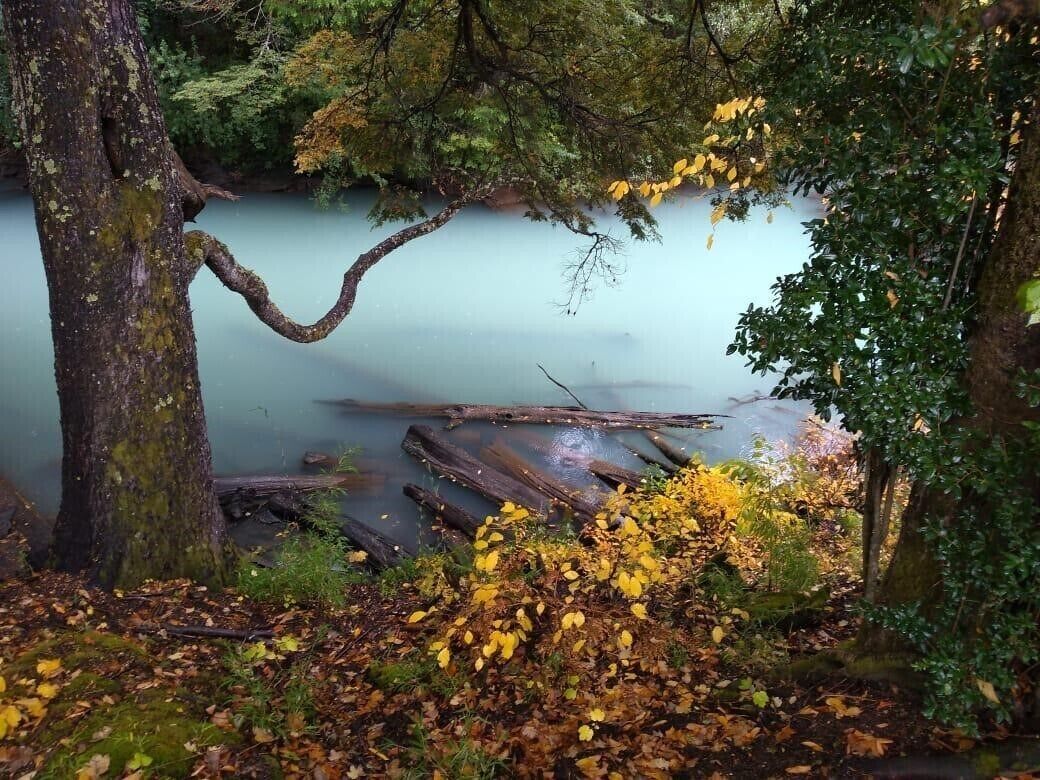 Puerto Blest is a small port located on Lake Nahuel Huapi, at the end of Brazo Blest, in the Province of Río Negro, Argentina. The port is located on the outlet of the Frías River in the Nahuel Huapi Lake, within the Nahuel Huapi National Park at 808 meters above sea level, and is part of a tourist walk that joins the city of Bariloche with the Frías Lake and the Cántaros waterfall.