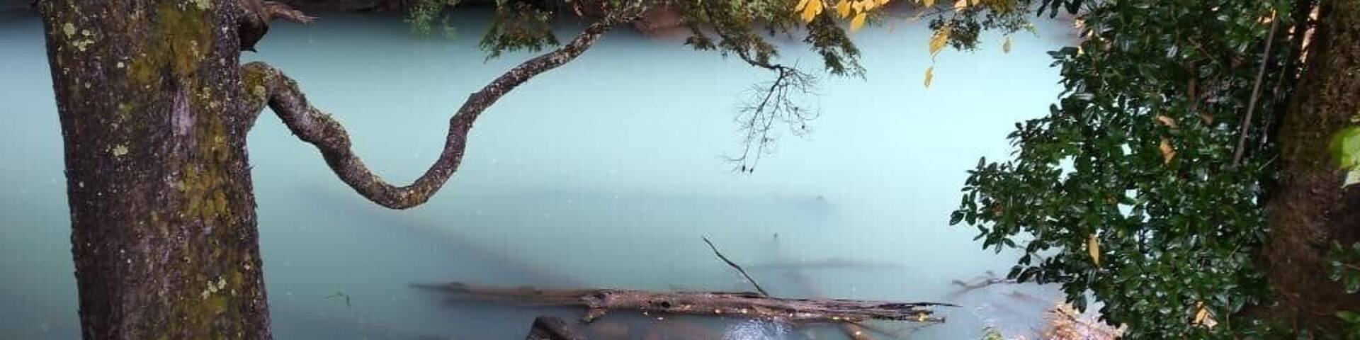 Puerto Blest is a small port located on Lake Nahuel Huapi, at the end of Brazo Blest, in the Province of Río Negro, Argentina. The port is located on the outlet of the Frías River in the Nahuel Huapi Lake, within the Nahuel Huapi National Park at 808 meters above sea level, and is part of a tourist walk that joins the city of Bariloche with the Frías Lake and the Cántaros waterfall.