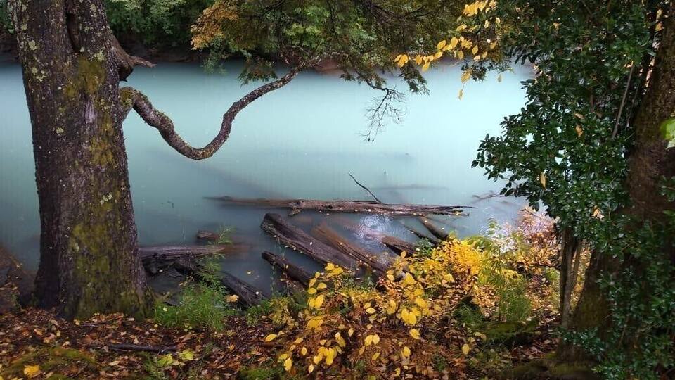 A serene lake surrounded by trees with autumn leaves.