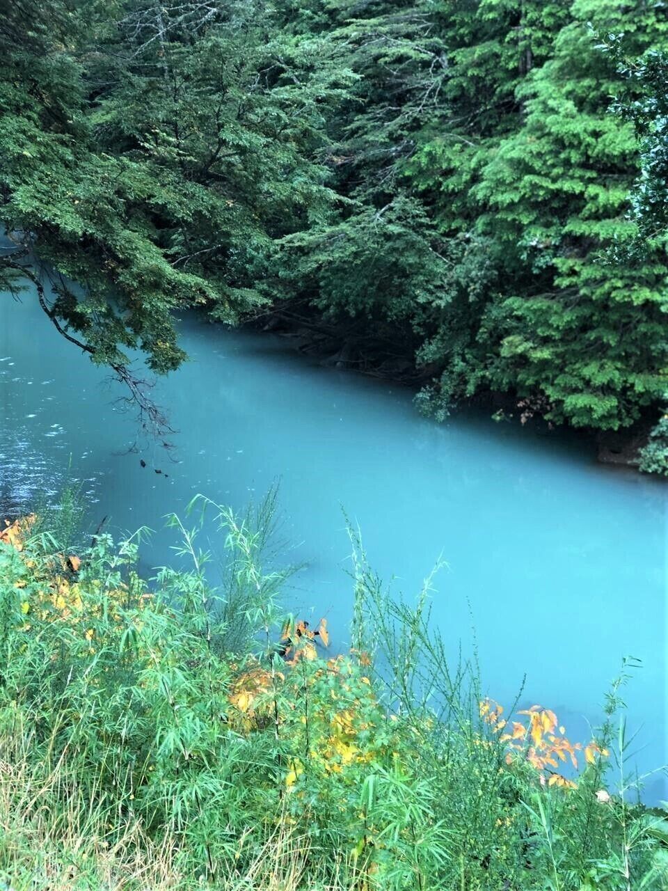 Puerto Blest is a small port located on Lake Nahuel Huapi, at the end of Brazo Blest, in the Province of Río Negro, Argentina. The port is located on the outlet of the Frías River in the Nahuel Huapi Lake, within the Nahuel Huapi National Park at 808 meters above sea level, and is part of a tourist walk that joins the city of Bariloche with the Frías Lake and the Cántaros waterfall.