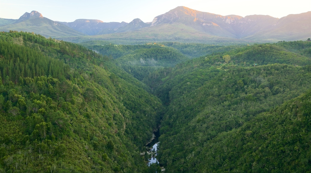 Wilderness mostrando paesaggi rilassanti e tramonto