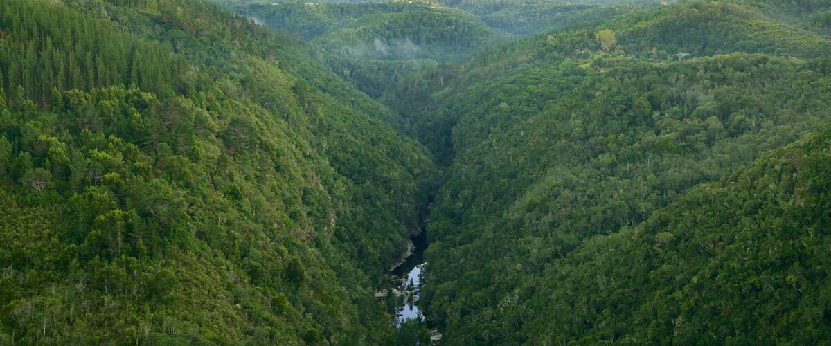 Wilderness