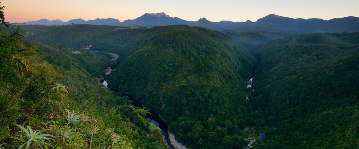 Wilderness which includes mountains, rainforest and landscape views