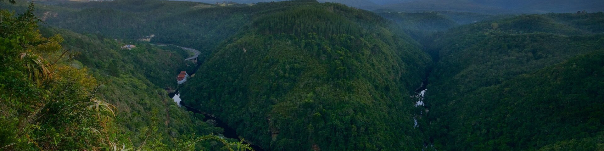 Wilderness que inclui cenas tropicais, floresta tropical e paisagem