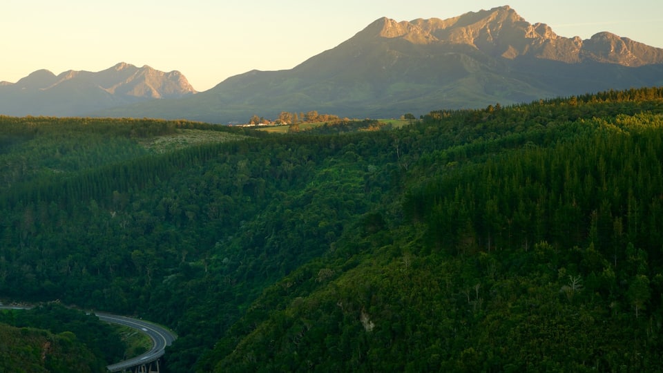 A winding road through a dense forest with a mountain range in the background.