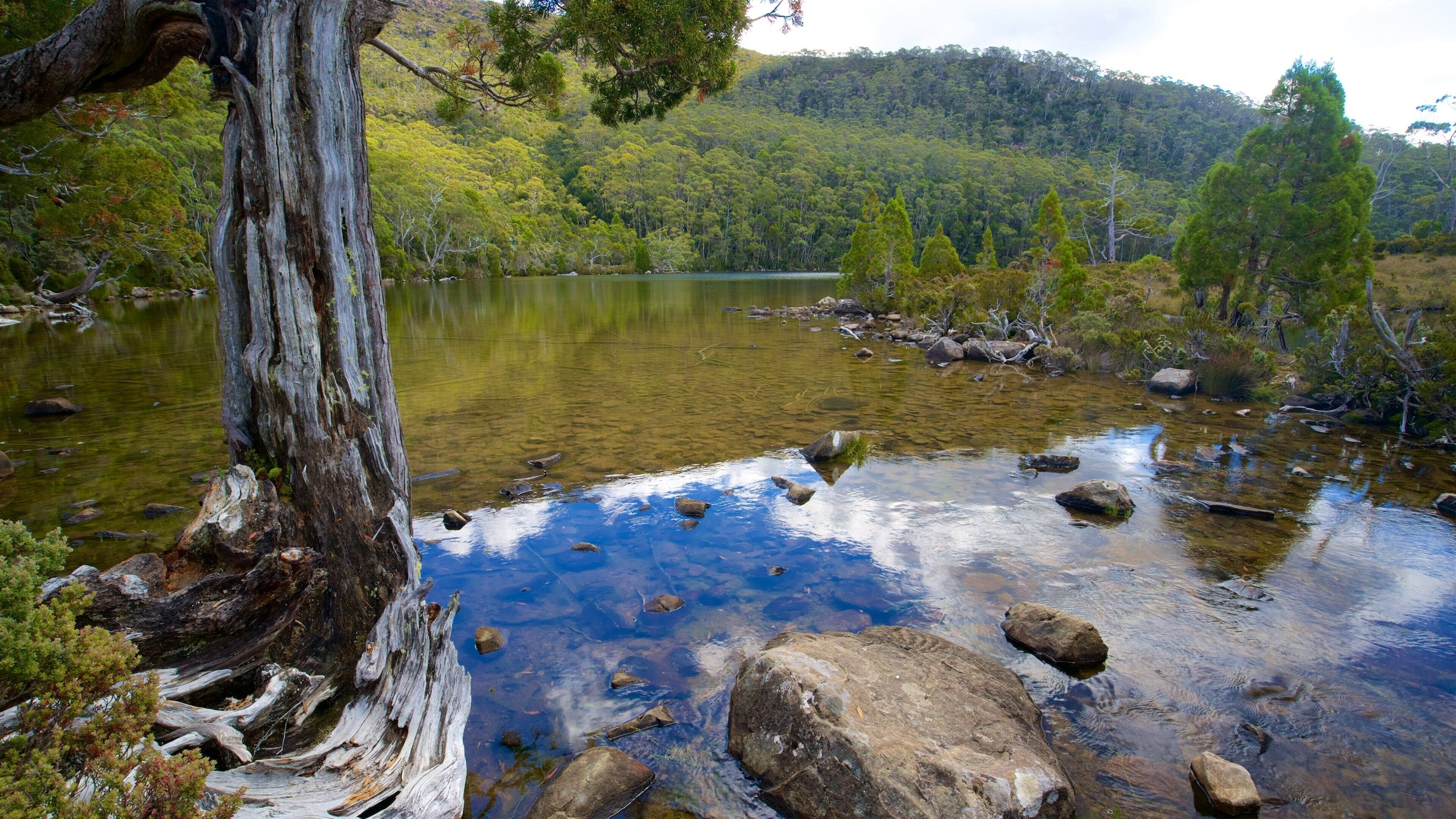 Mt. Field nasjonalpark fasiliteter samt innsjø og rolig landskap