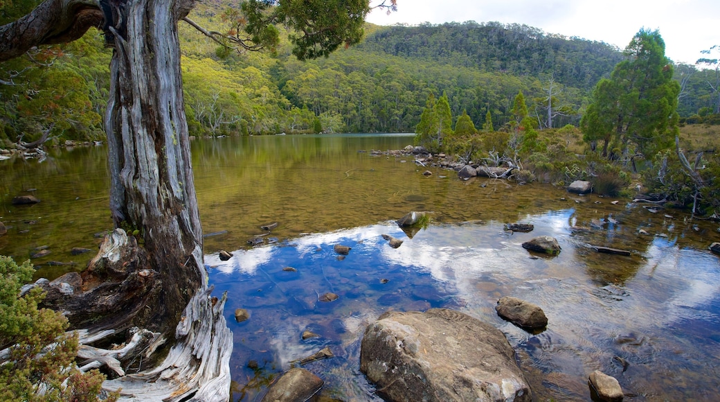 Mt. Field National Park