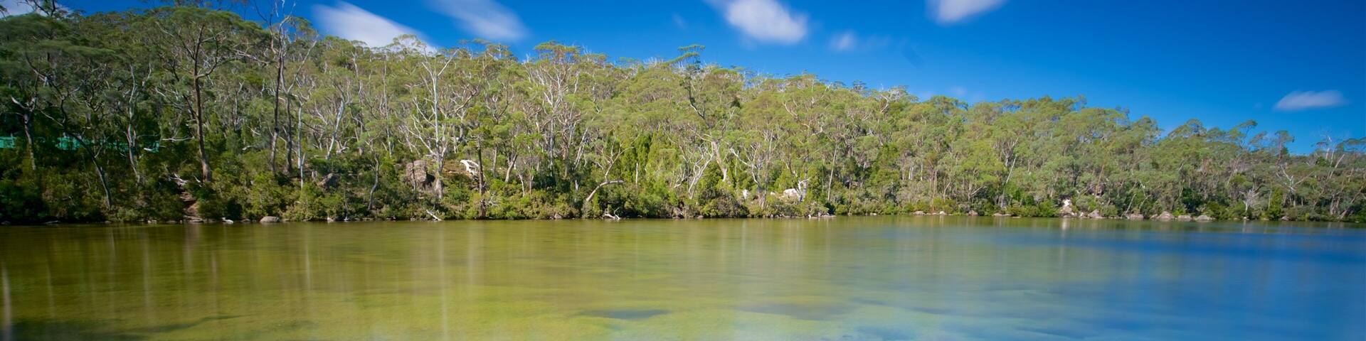 Mount Field National Park which includes wetlands