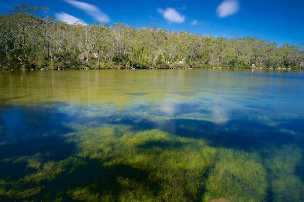 Mount Field National Park which includes wetlands