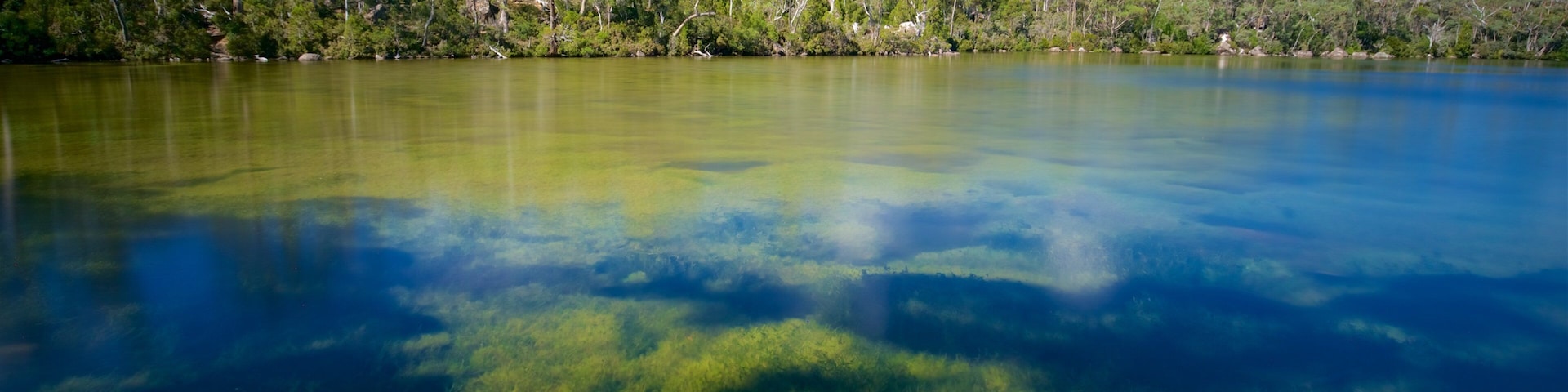 Mount Field National Park which includes wetlands