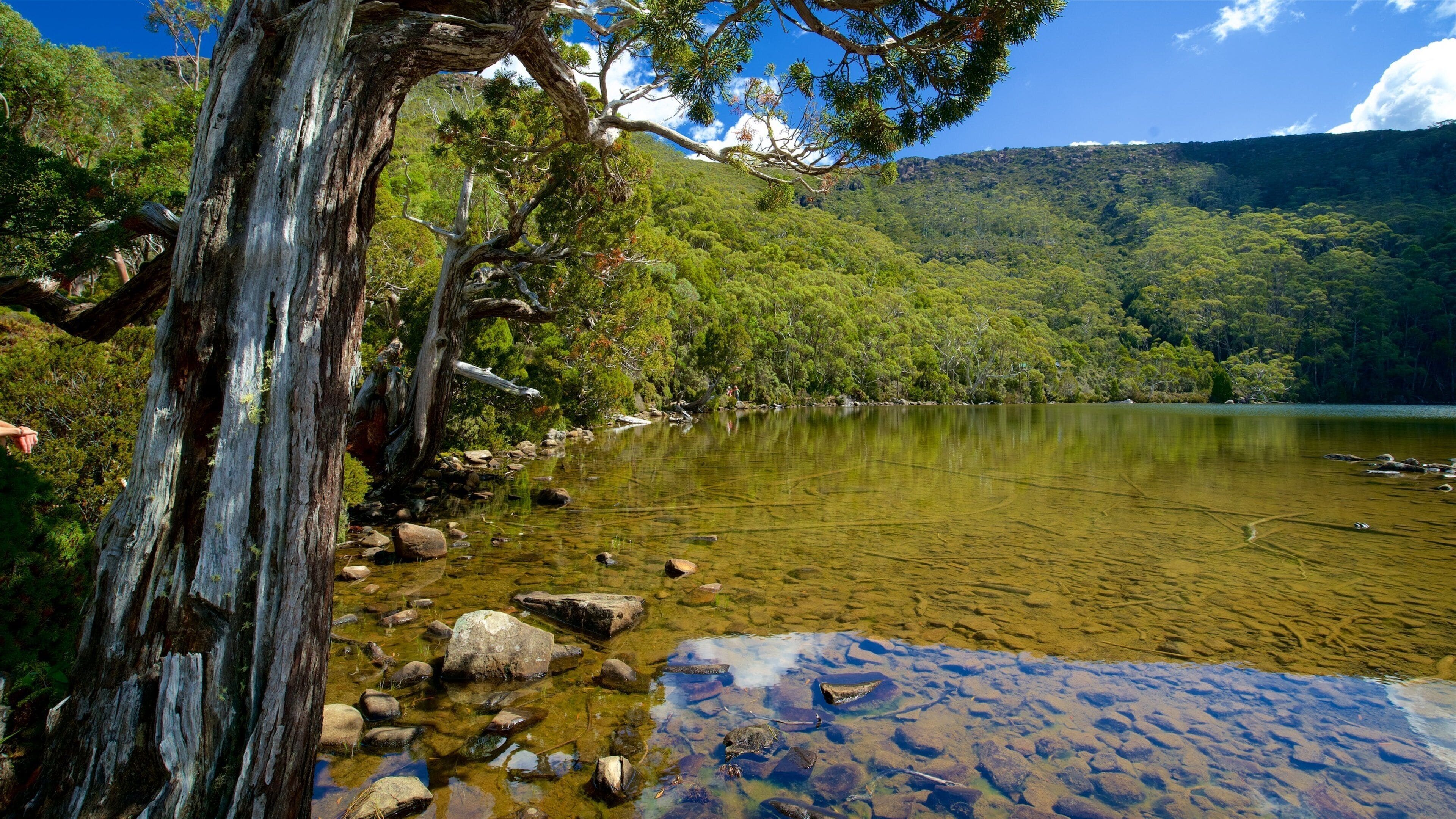 Midlands fasiliteter samt myr og innsjø