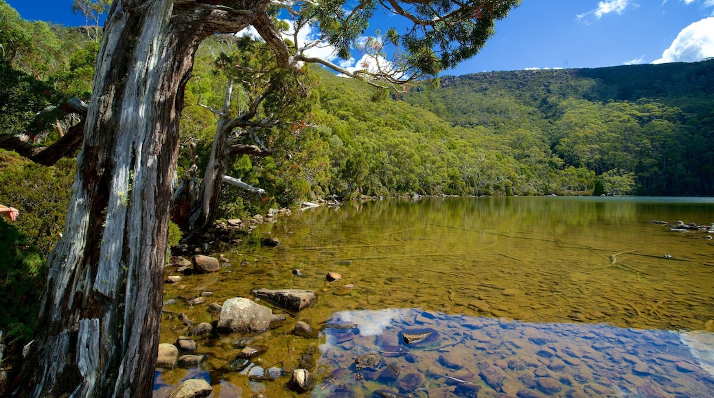 Midlands showing wetlands and a lake or waterhole