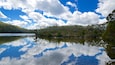 A calm lake reflecting the sky and surrounding trees.