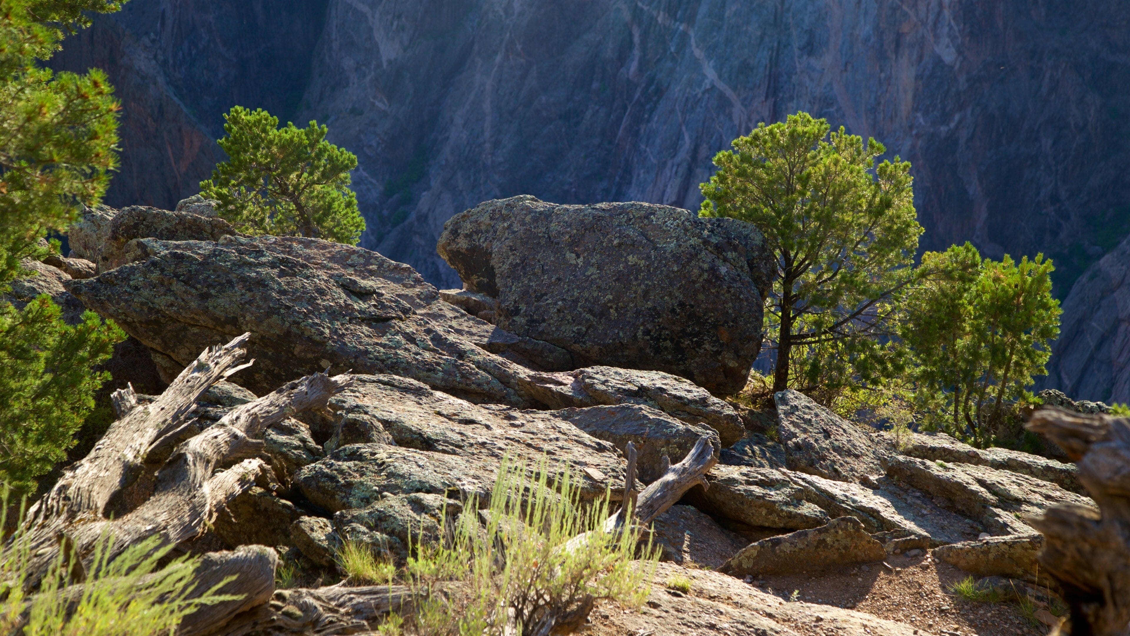 A rocky landscape with large boulders and sparse trees.
