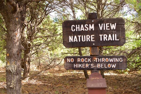 Chasm View Nature Trail