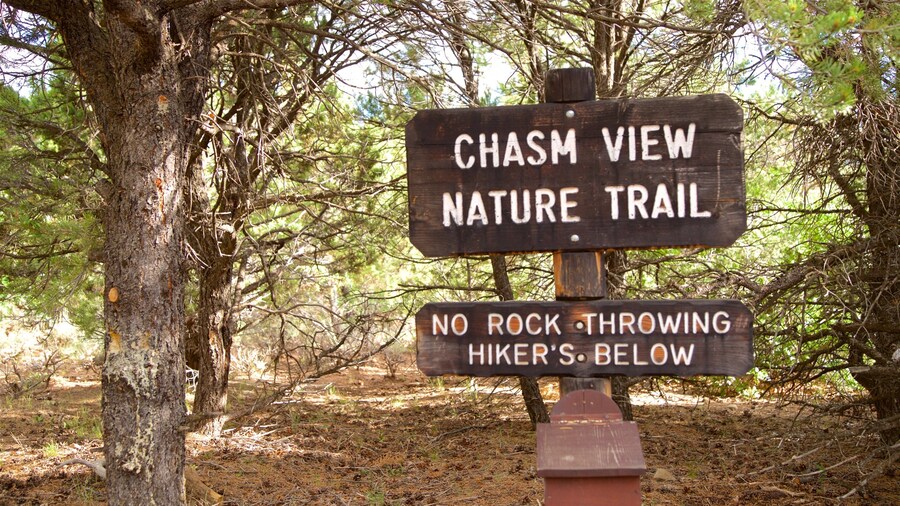 Chasm View Nature Trail