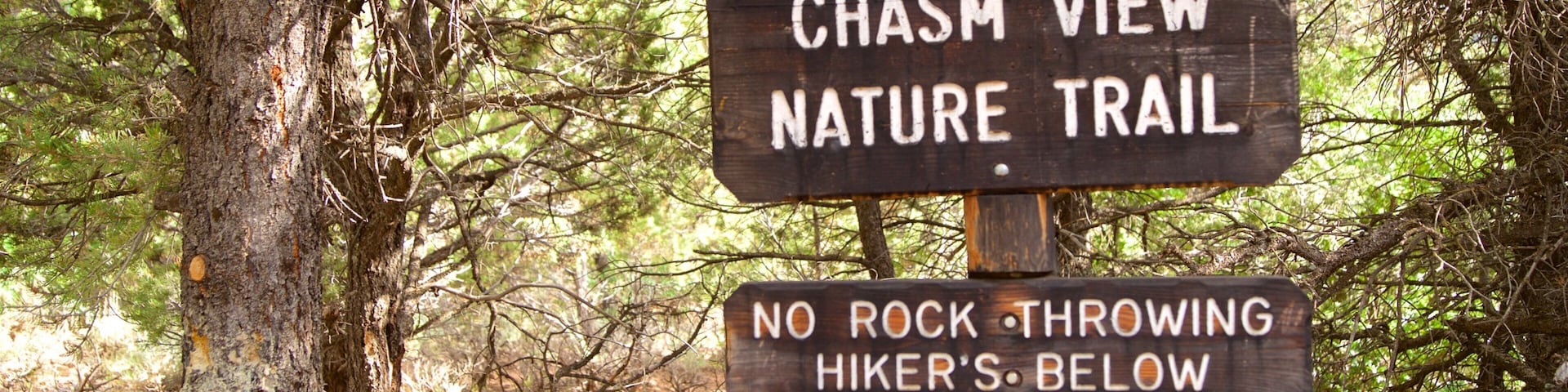 Chasm View Nature Trail